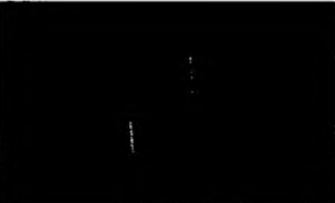 Unaltered crop of a submitted image panel labelled Dual UAP by the observers.